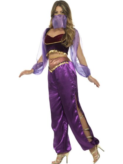 Arabian Princess Jasmine Costume Adult Purple Trousers Top Veil