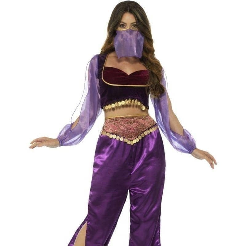 Arabian Princess Jasmine Costume Adult Purple Trousers Top Veil 1