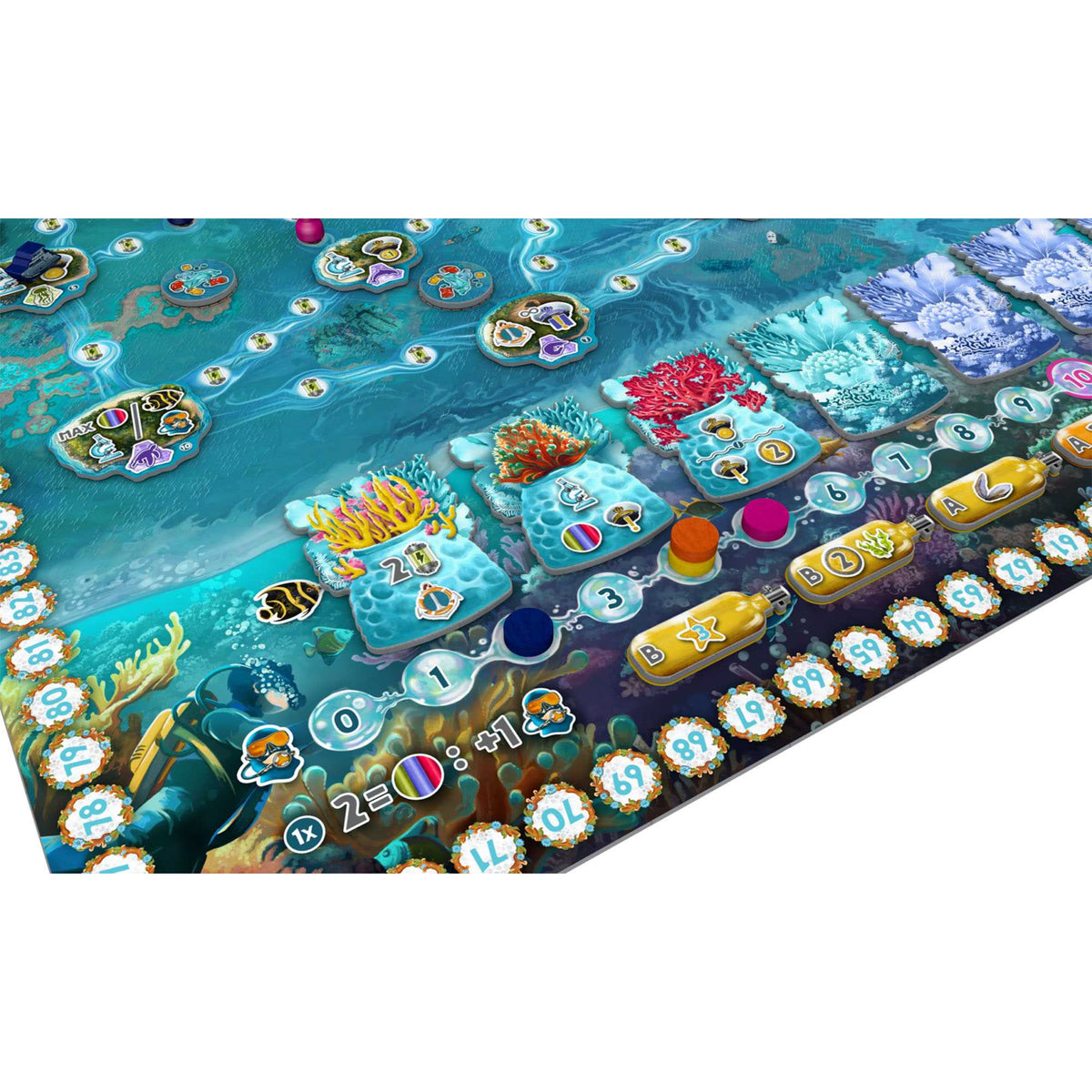 Reef Project 6