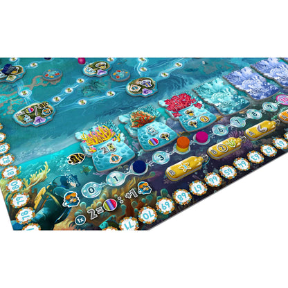 Reef Project 6