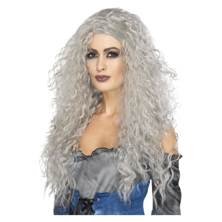 Banshee Wig Adult Grey_2 