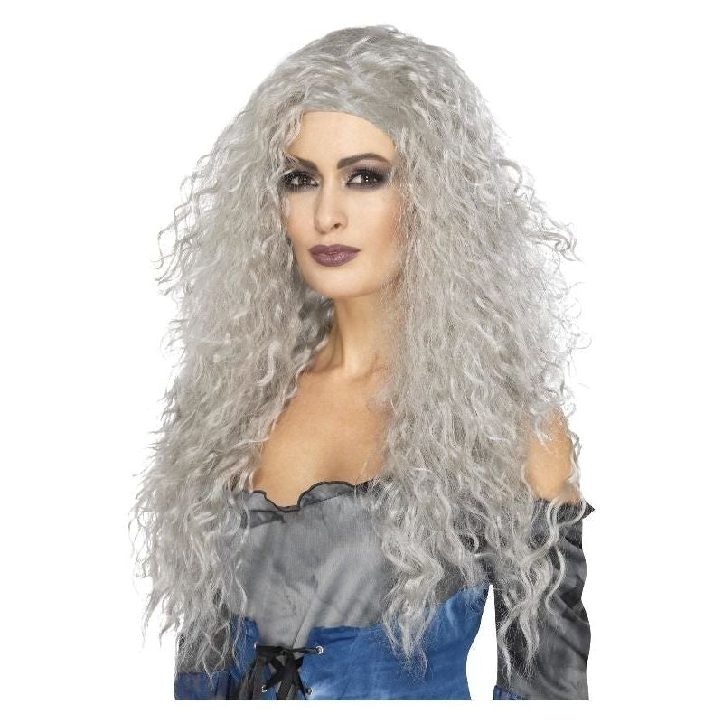 Banshee Wig Adult Grey Long 2