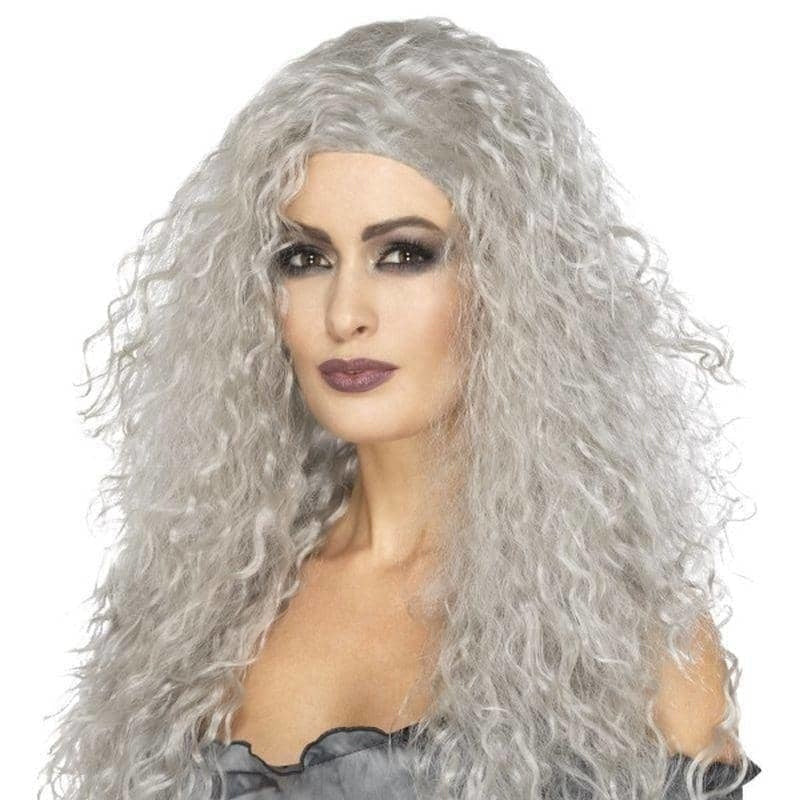 Banshee Wig Adult Grey Long 1