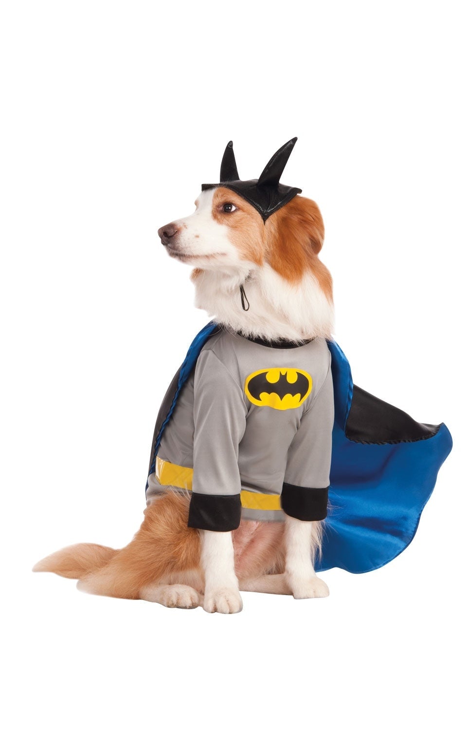 Batman Pet Costume Bold Grey and Blue 1