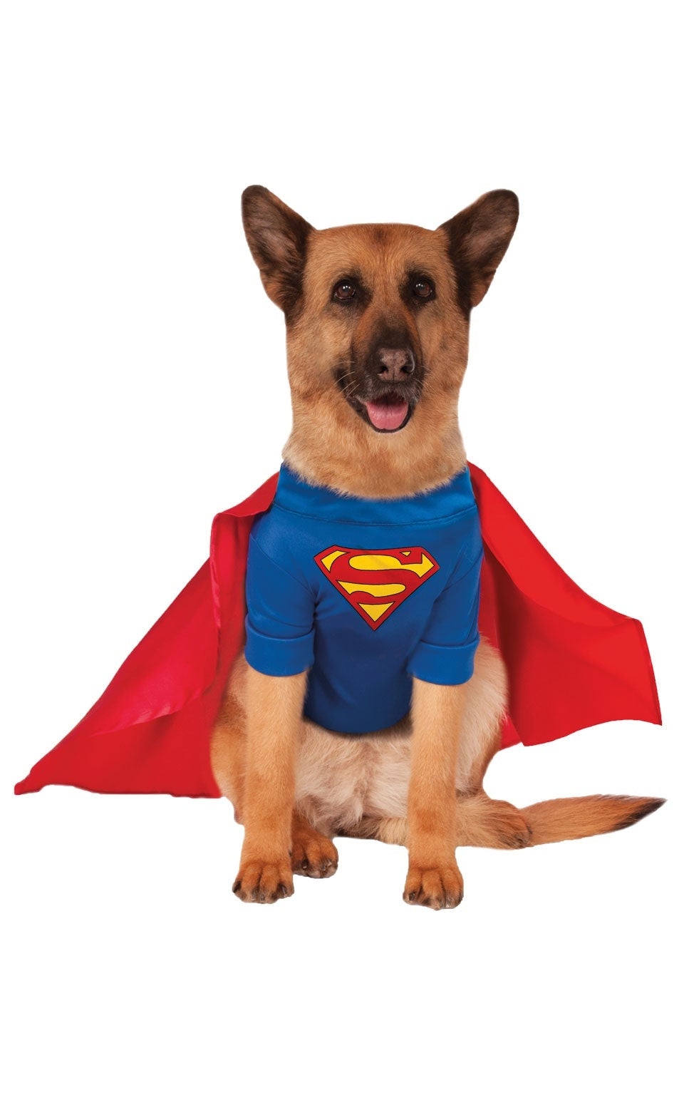 Big Dog Superman Costume 1