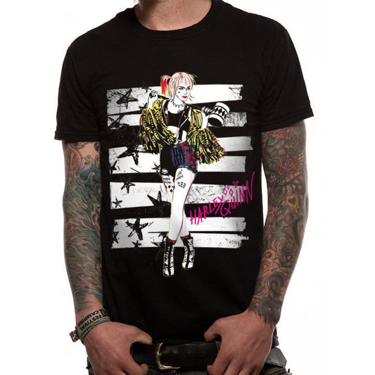 Birds of Prey Stripes and Stars Unisex T-Shirt DC Adult 1
