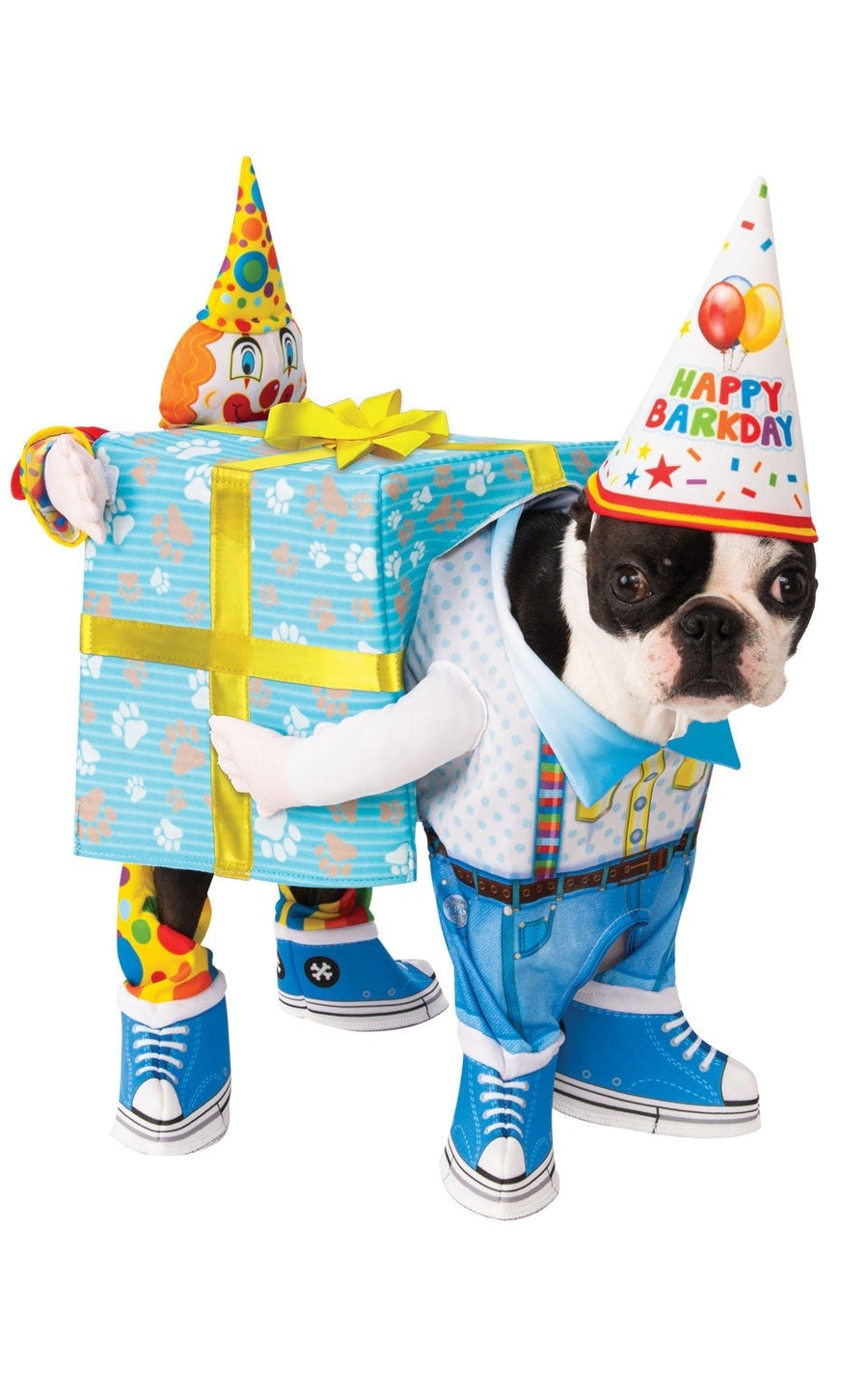 Birthday Carry Pet Costume_1