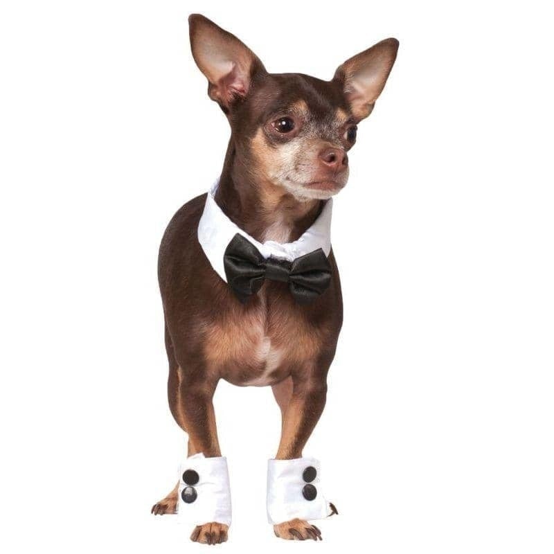 Bowtie and Cuff Set Pet Accessories 1