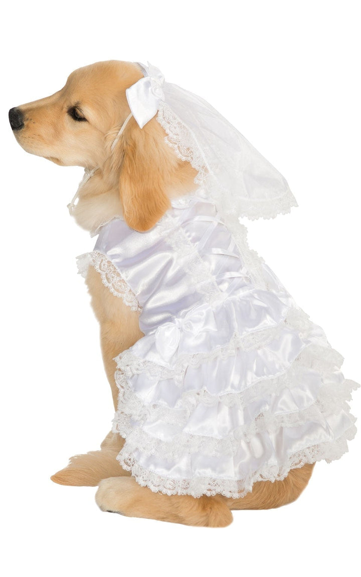 Bride Pet Costume_1