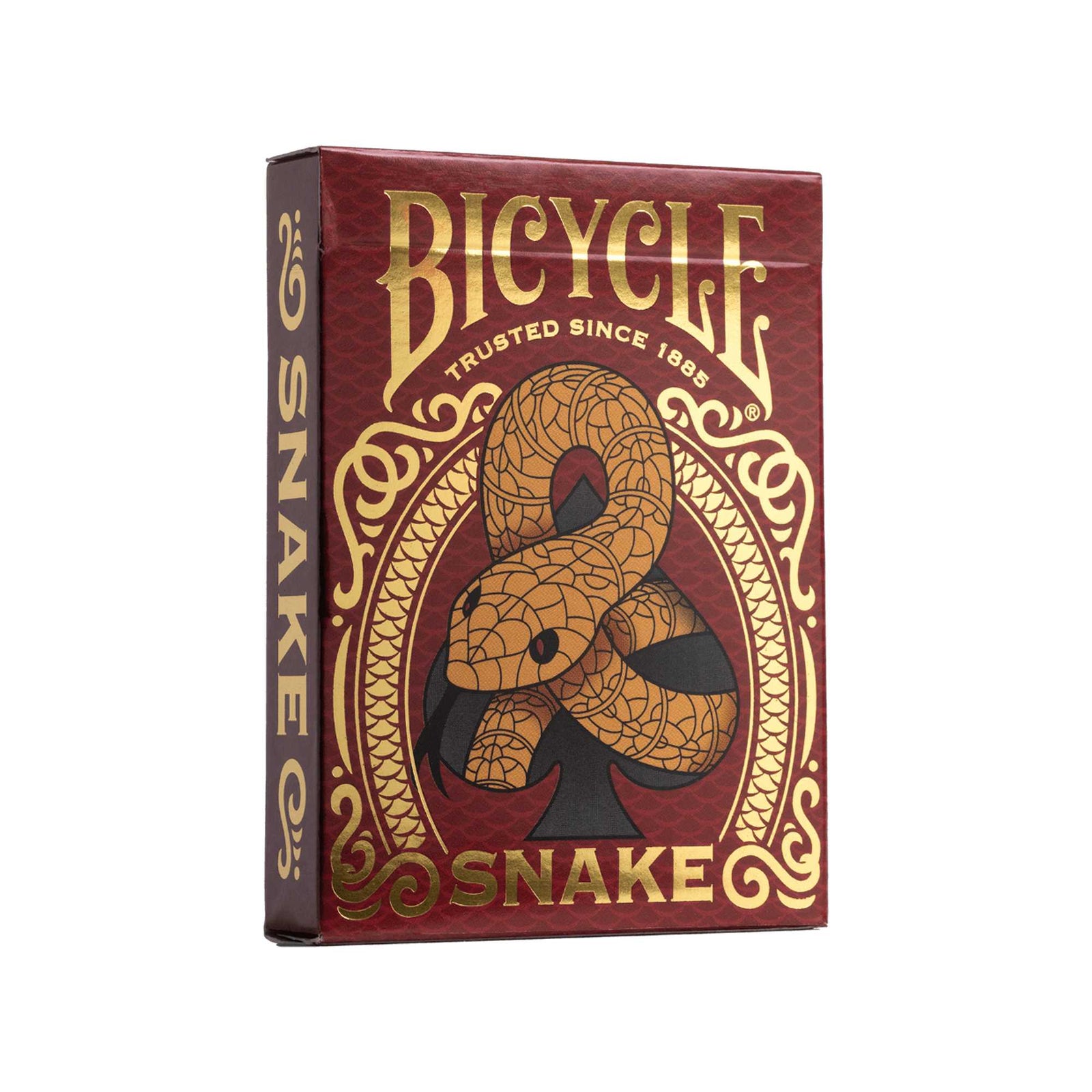 Bicycle: Snake 1