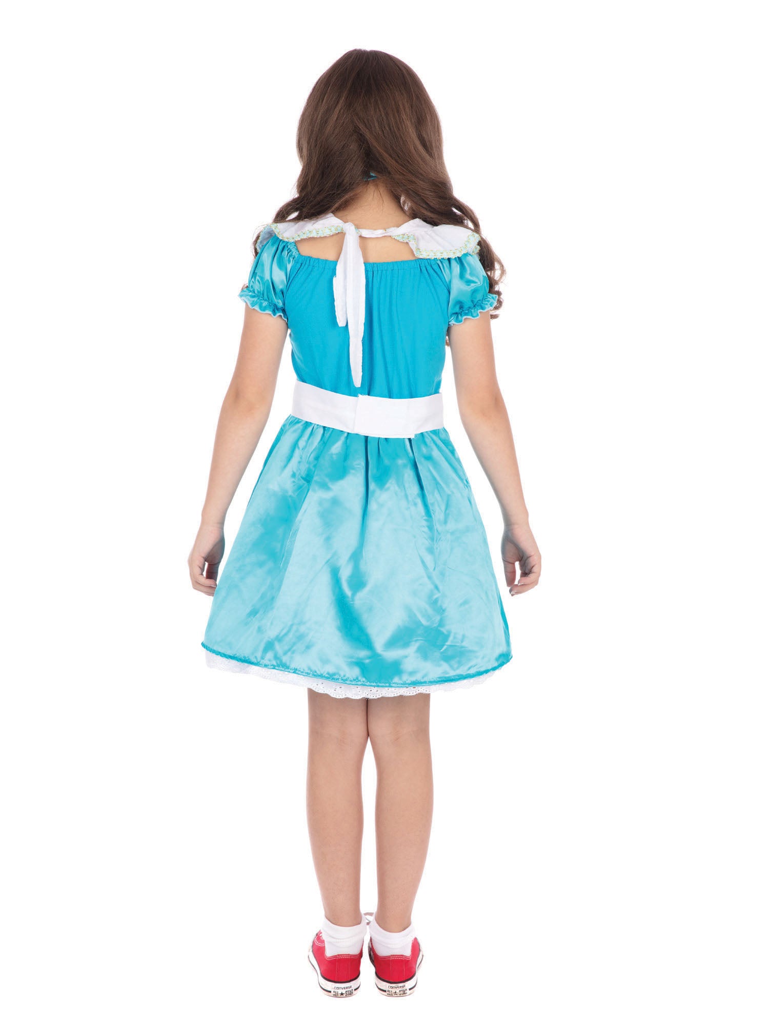 Alice in Wonderland Blue Dress Childrens Costume 3
