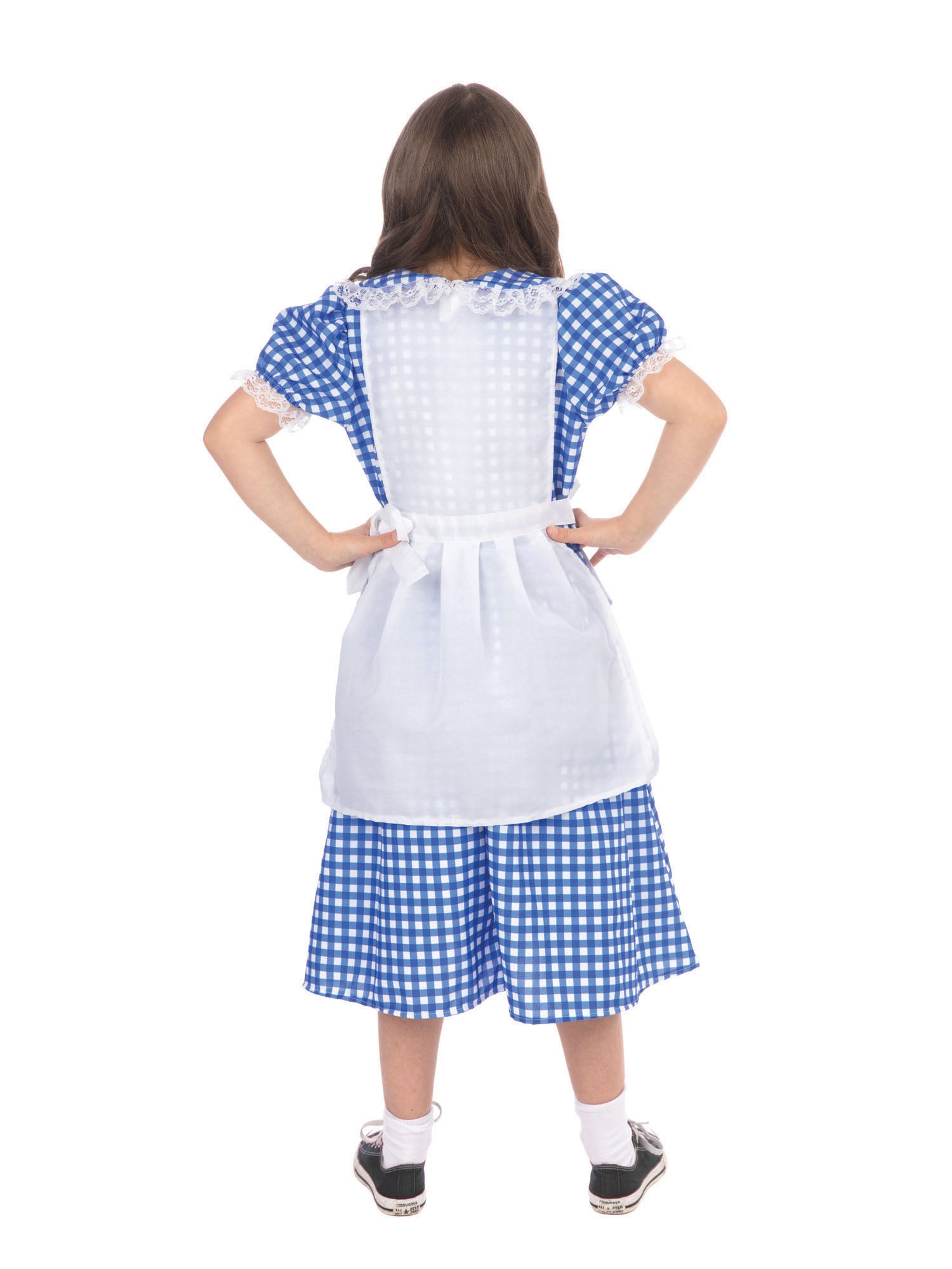 Country Girl Dorothy Dress and Apron Girls Costume 2