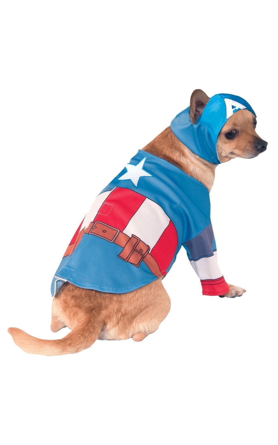 Captain America Pet Costume 1