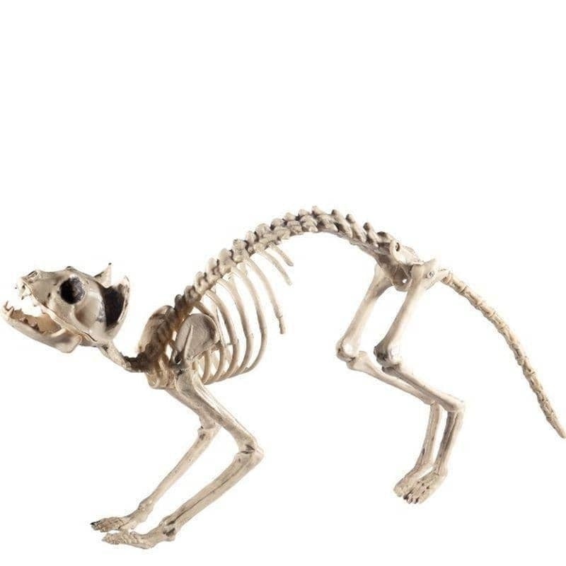 Cat Skeleton Prop Adult Natural_1
