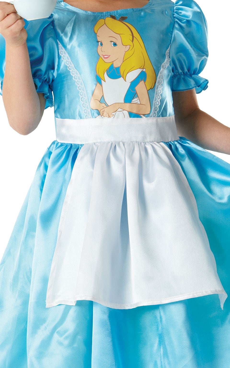 Classic Alice Costume 2