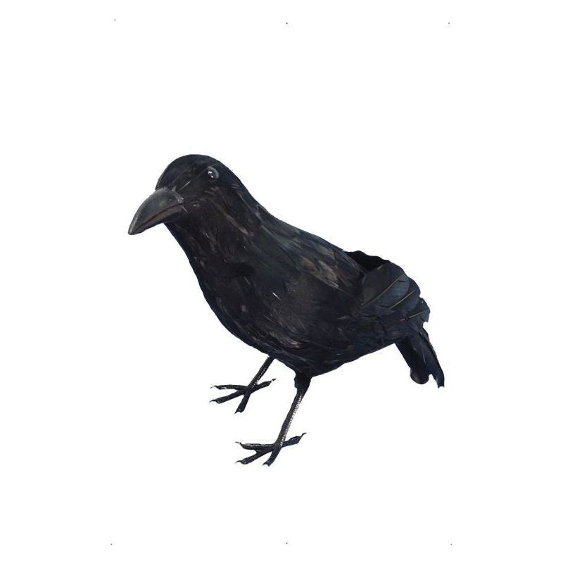 Black Crow Feathered 33cm Imitation Plastic Halloween Decoration 1