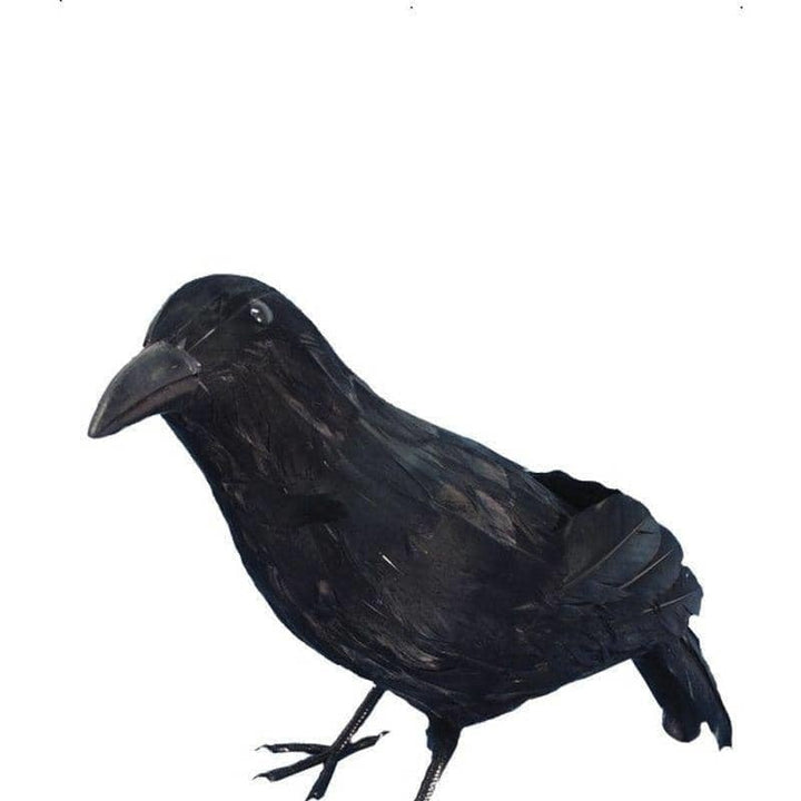 Crow Adult Black_1
