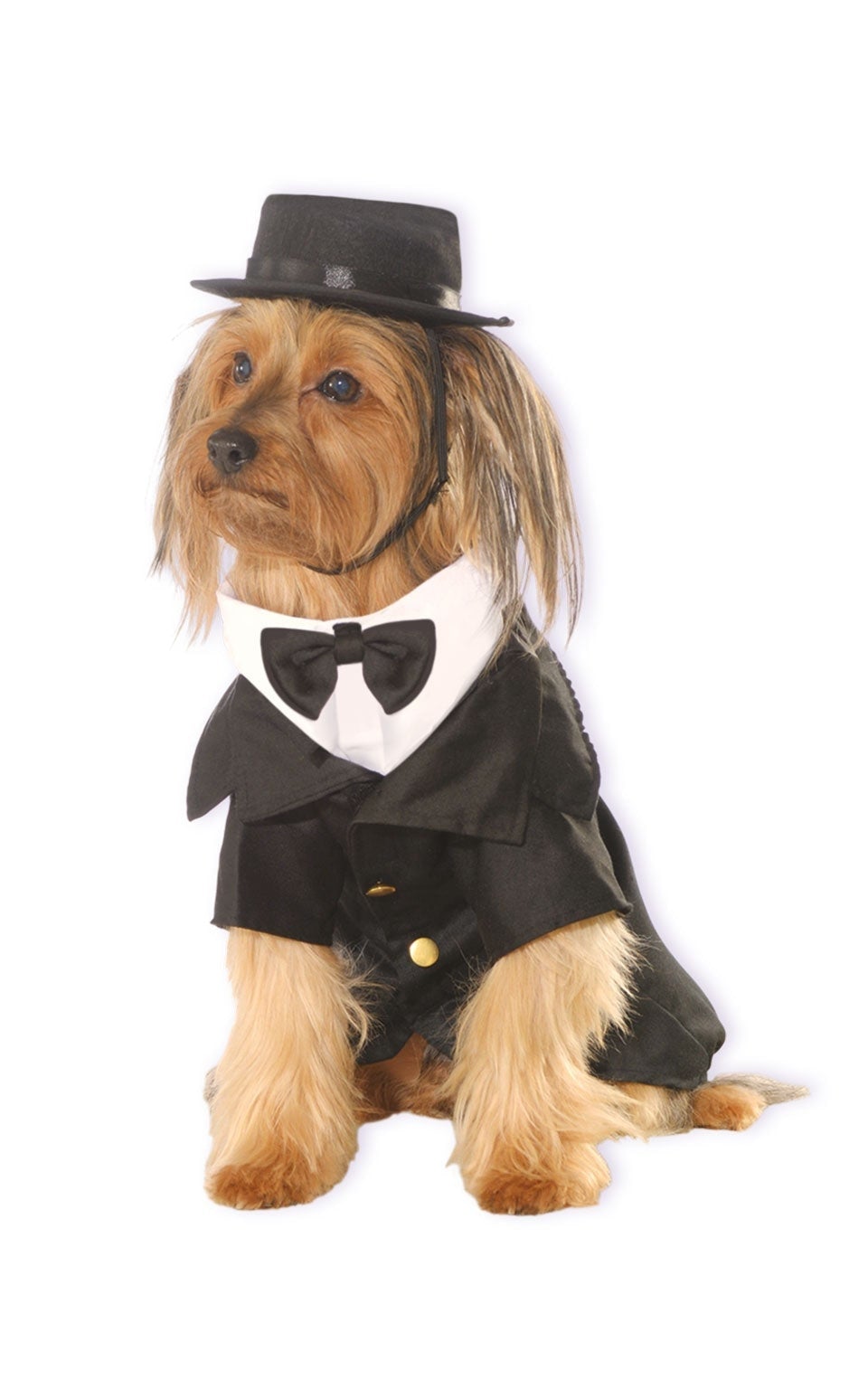 Dapper Dog Pet Costume 1