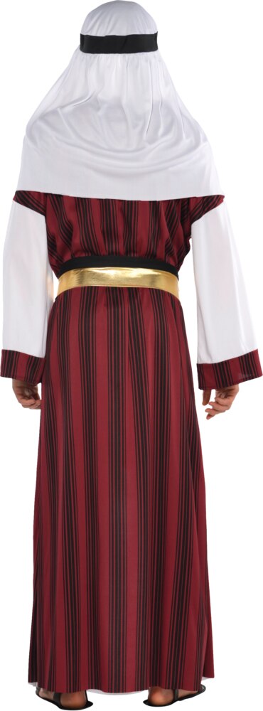 Desert Prince Costume for Adults 2
