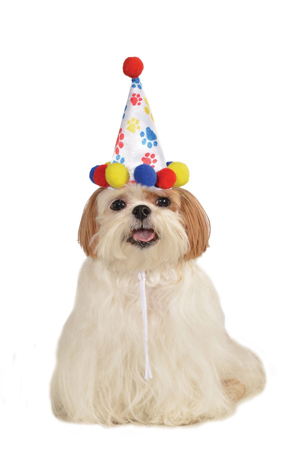 Dogs Paw Print Bday Hat for Pets 1