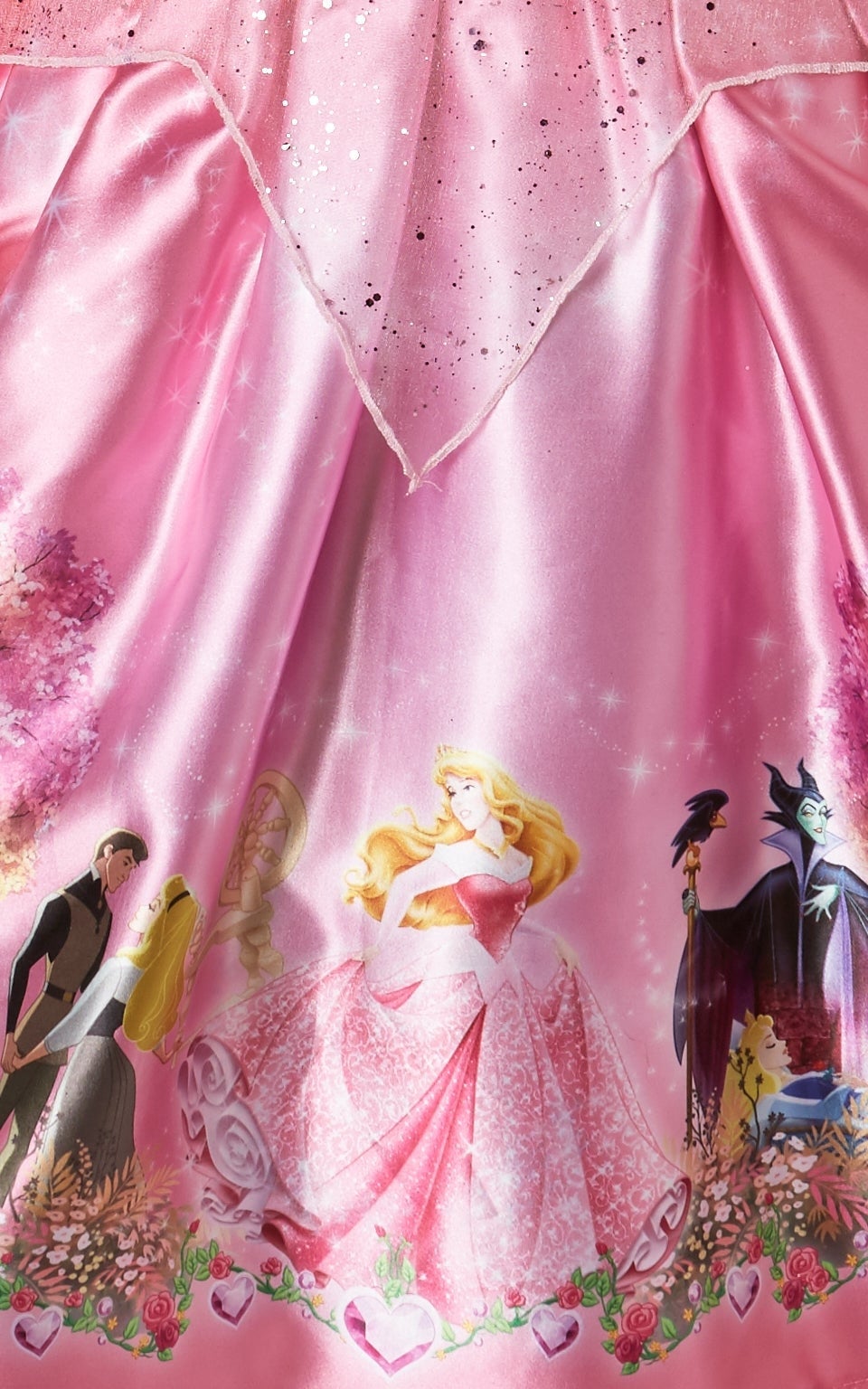 Dream Princess Sleeping Beauty Costume 3
