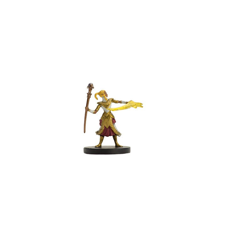 Dungeons and Dragons D&D Icons of the Realms Epic Level Hero Starter Pack 6