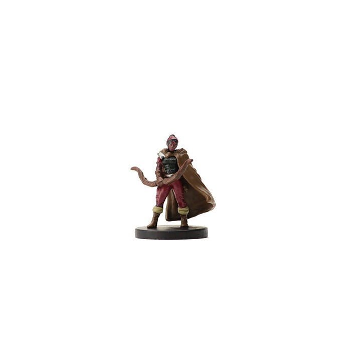 Dungeons and Dragons D&D Icons of the Realms Epic Level Hero Starter Pack 8