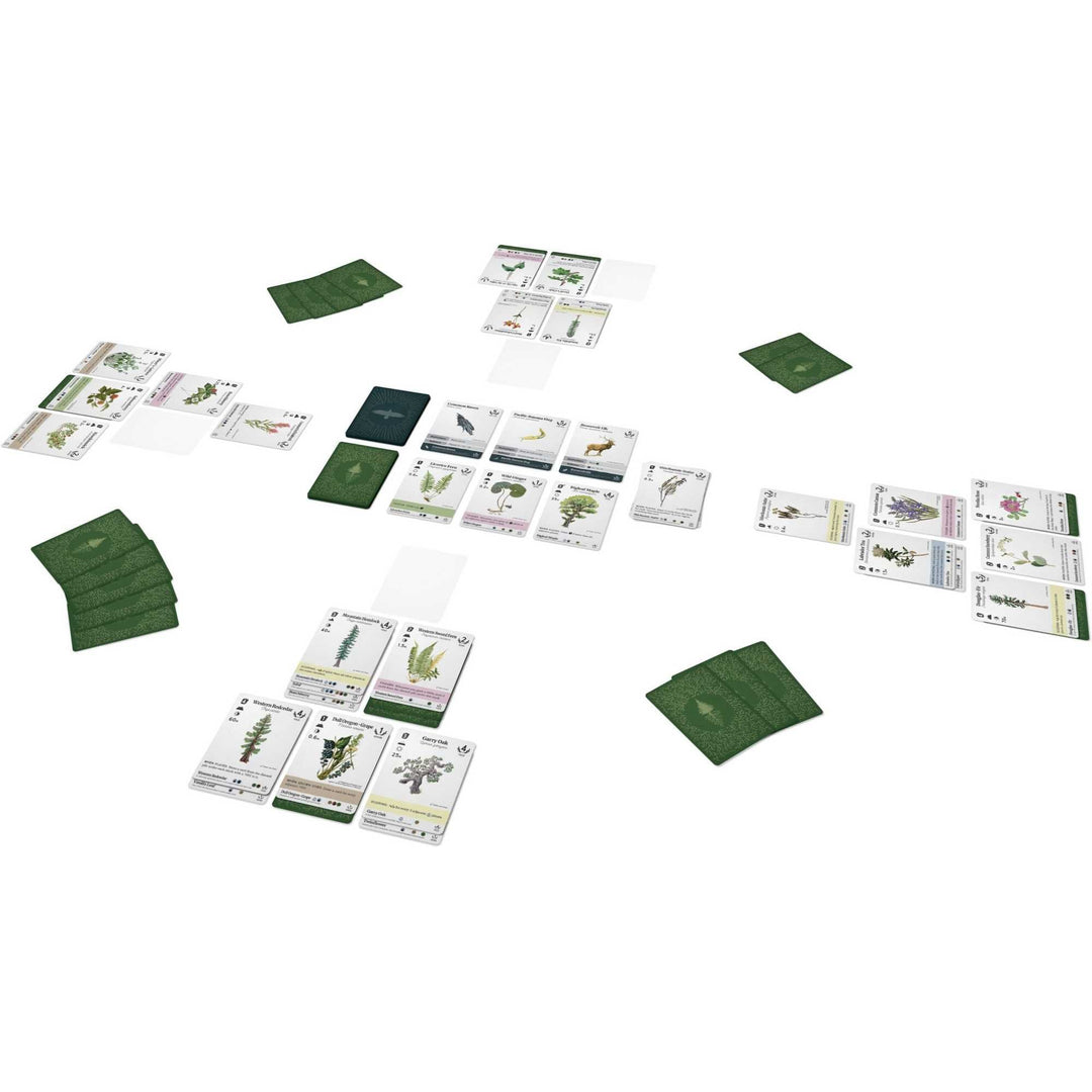 Reforest Plants of the Pacific Northwest Coast Card Game