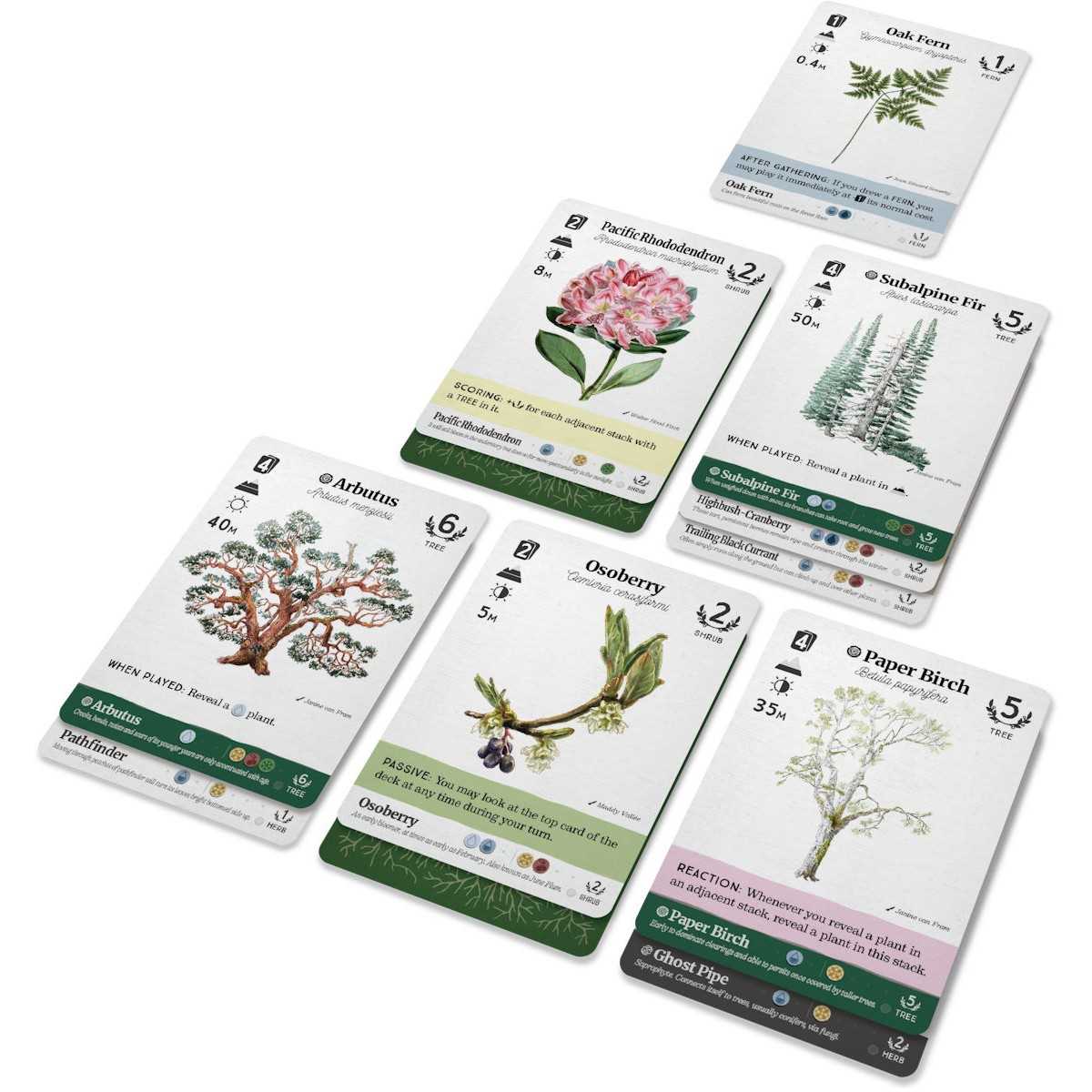 Reforest Old Growth Board Game by Firestarter 2