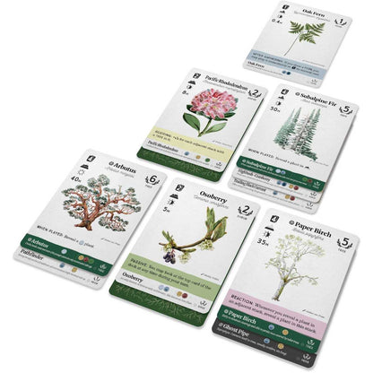 Reforest Old Growth Board Game by Firestarter 2