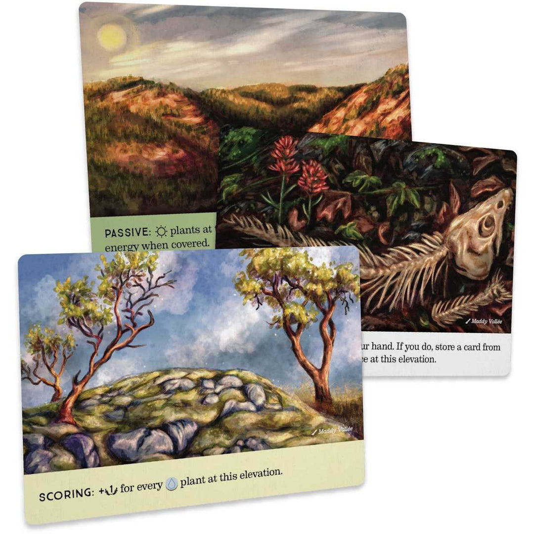 Reforest Old Growth Board Game by Firestarter 4