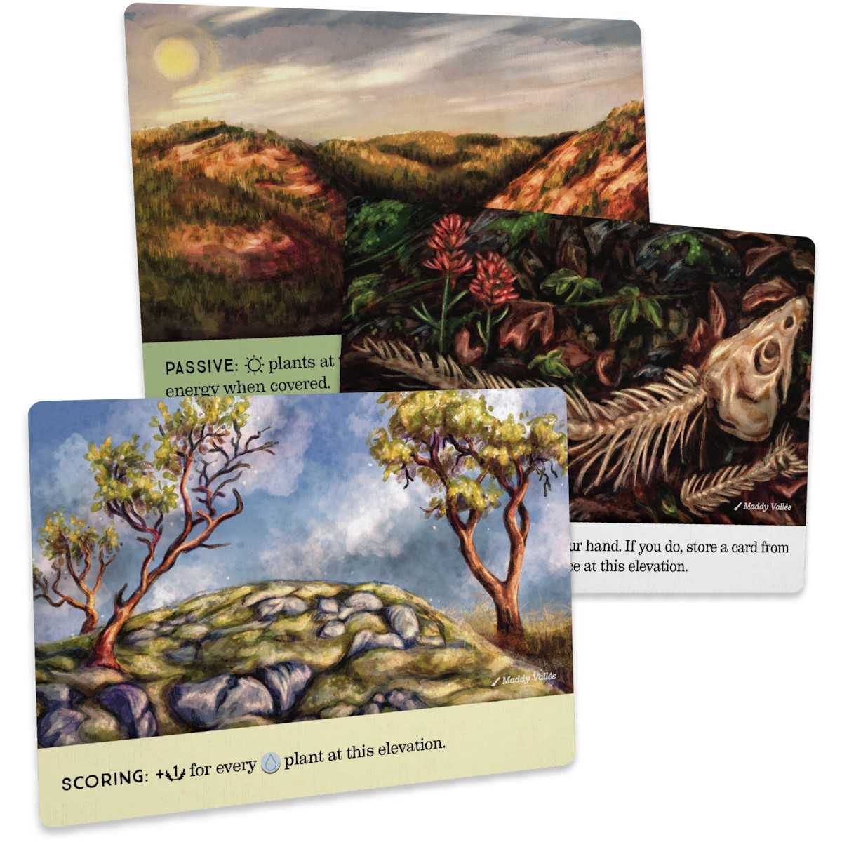 Reforest Old Growth Board Game by Firestarter 4