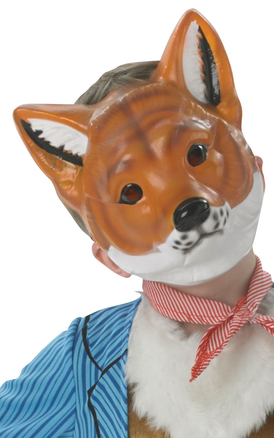 Fantastic Mr Fox Costume Kids 2