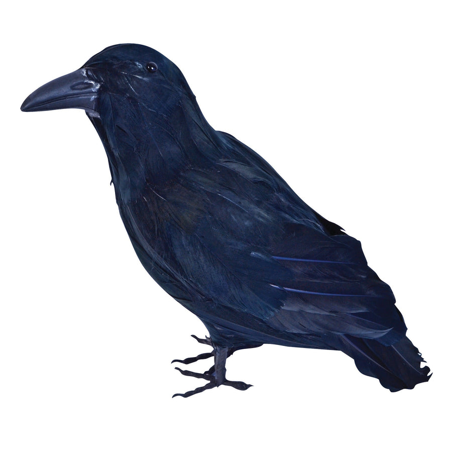 Feather Raven Black Pirate Costume Accessory_1