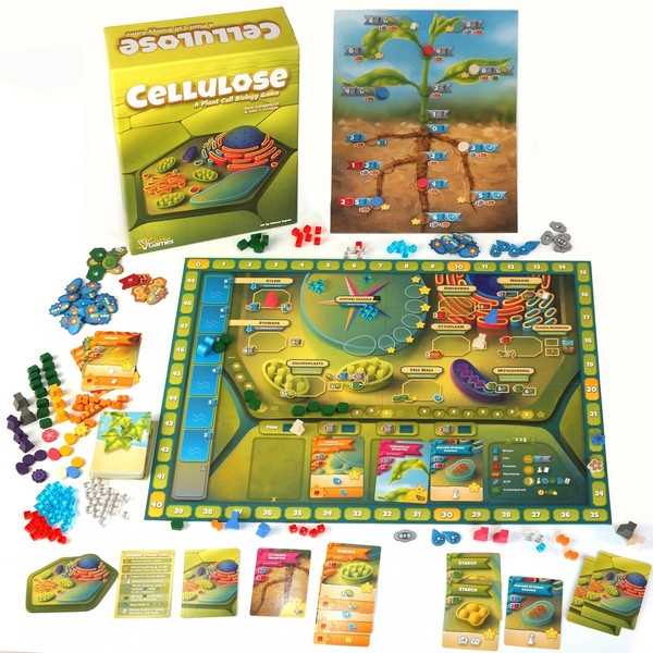 Cellulose: A Plant Cell Biology Game 2