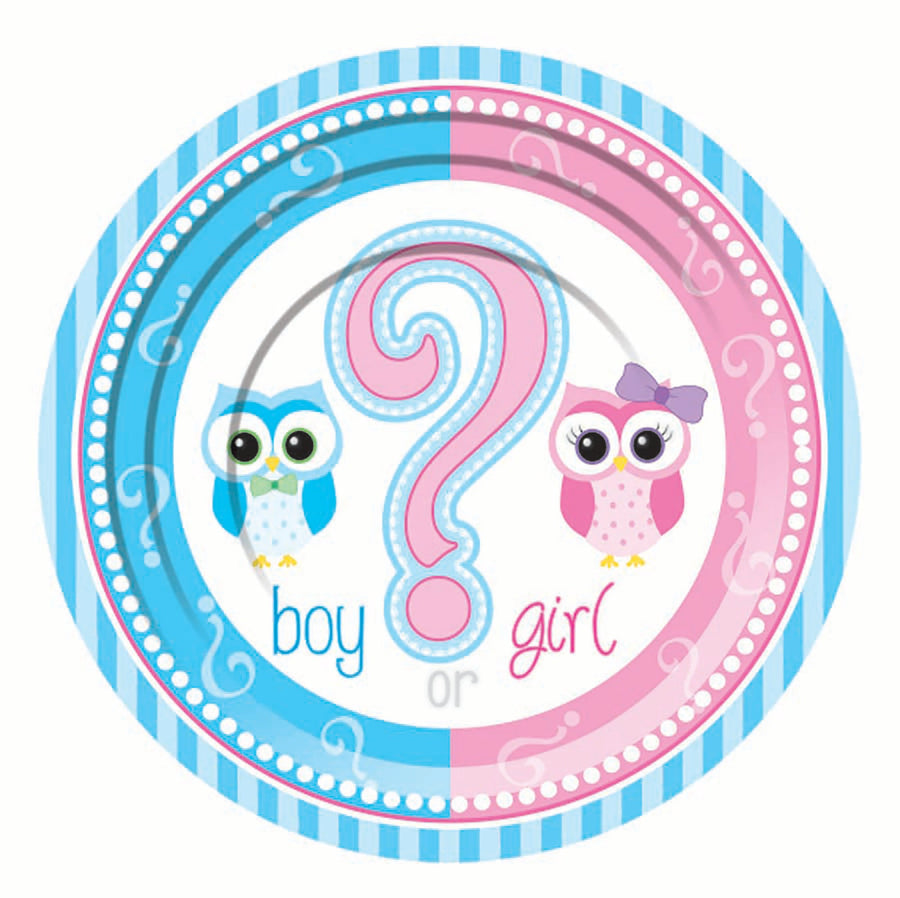 Gender Reveal Small Plate 17cm Party Decoration 8 Pieces_1