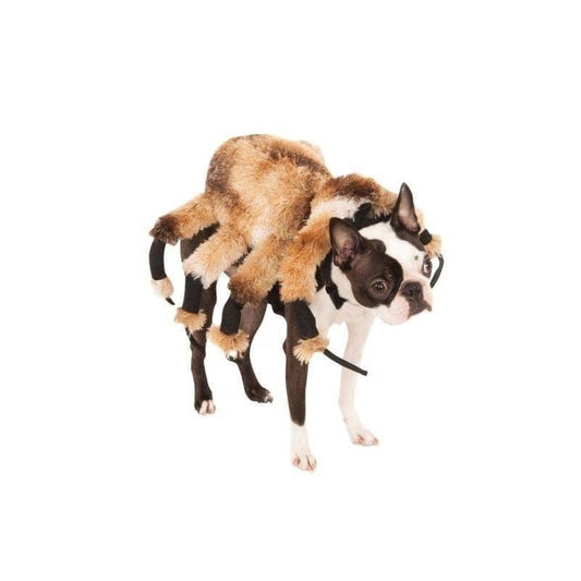 Giant Spider Pet Costume 1