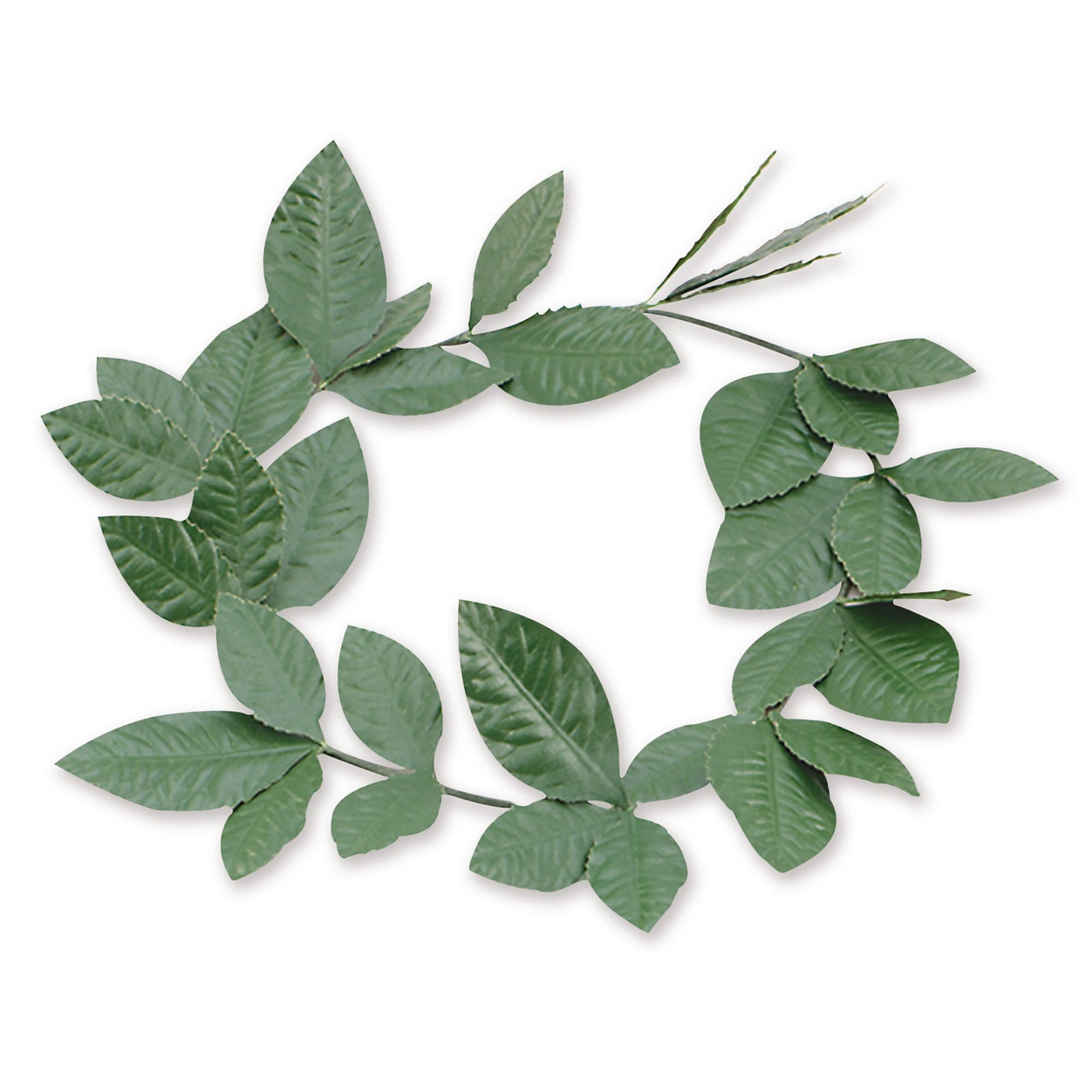 Green Laurel Leaf Headband Roman Costume Accessory 1