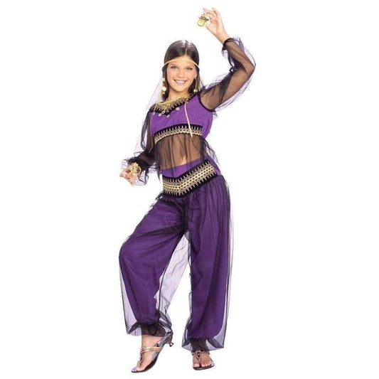 Harem Princess Costume Childs Arabian Dancer 1