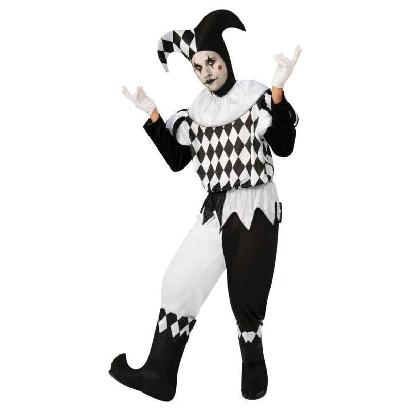 Harlequin Male Costume Medieval Jester 1