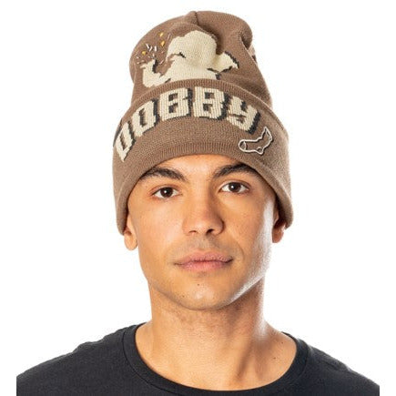 Harry Potter Dobby Beanie Adult 1