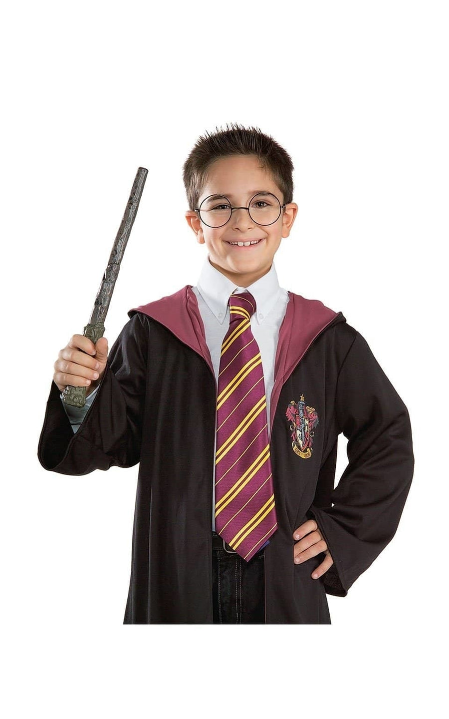 Harry Potter Tie Costume Accessory_1