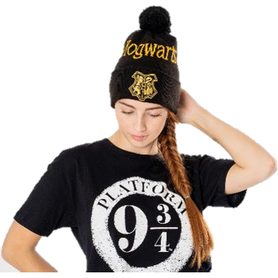 Hogwarts Black Gold Harry Potter Beanie Adult 1