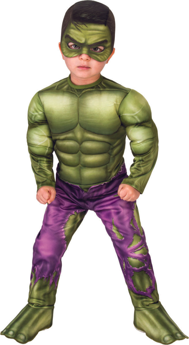 Hulk Deluxe Boys Toddler Costume 1