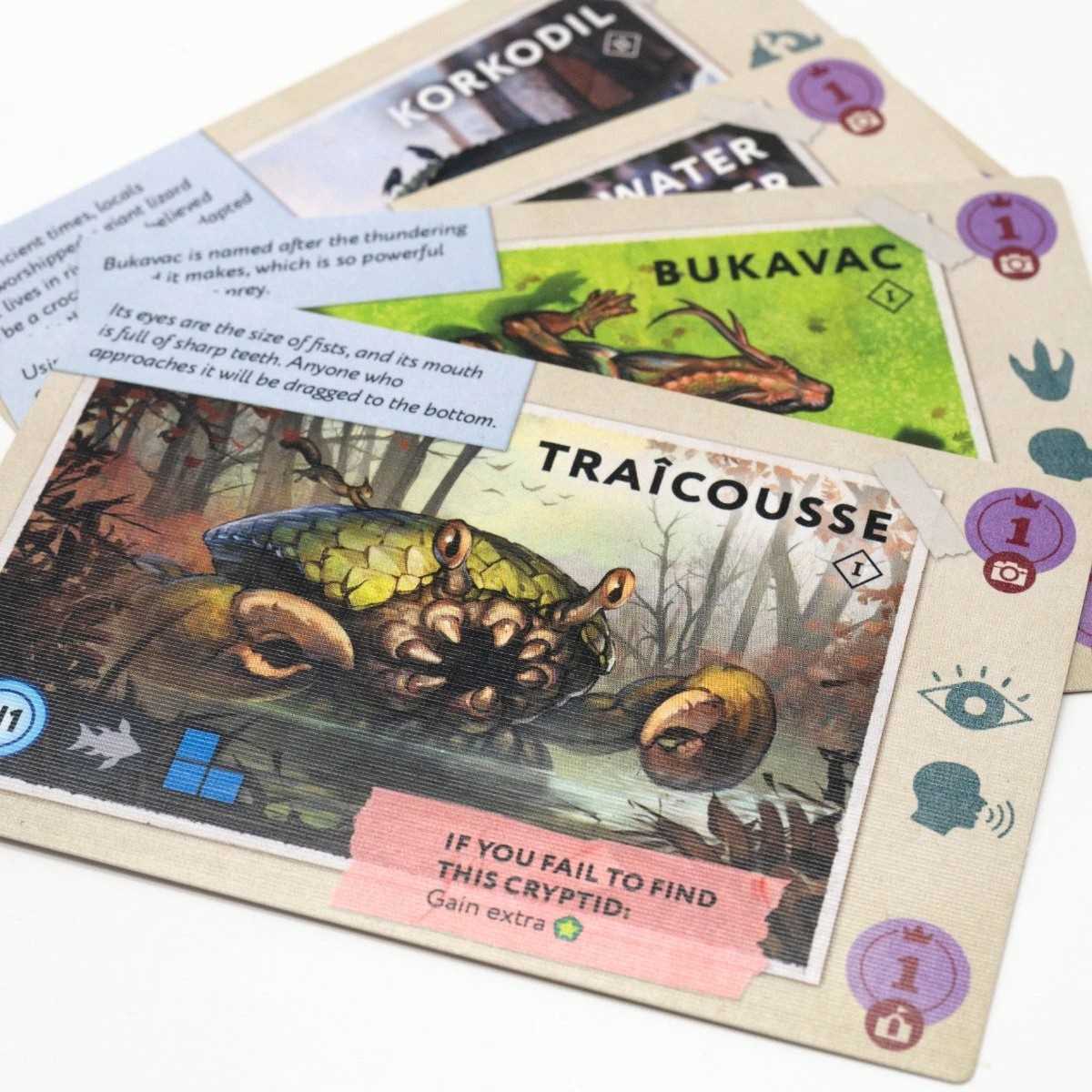 Cryptic Nature Board Game by idVenture 3