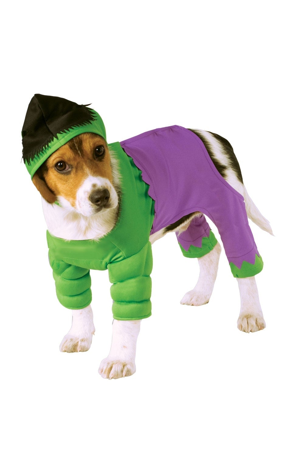 Incredible Hulk Pet Costume 1