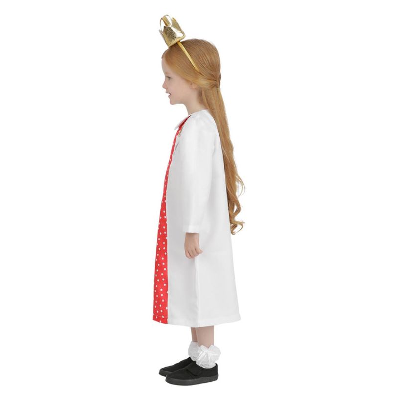 Julia Donaldson Zog Princess Pearl Costume Child 3