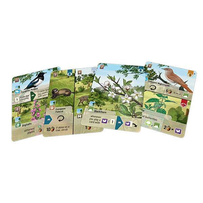 Forest Shuffle Woodland Edge Board Game by Lookout Spiele 3