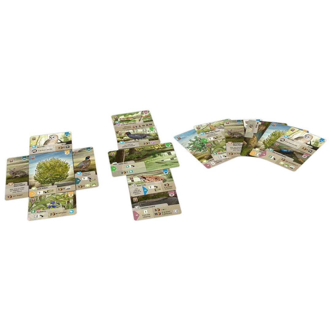 Forest Shuffle Dartmoor Board Game by Lookout Spiele 4