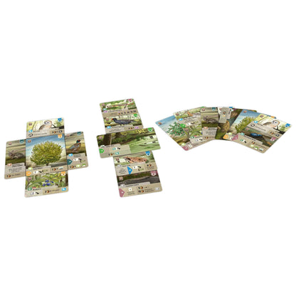 Forest Shuffle Dartmoor Board Game by Lookout Spiele 4